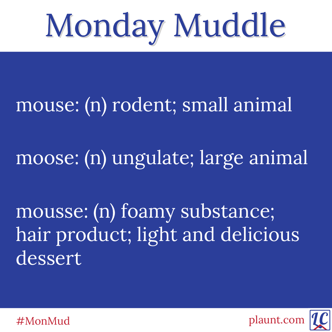 Monday Muddle: mouse: (n) rodent; small animal 
moose: (n) ungulate; large animal 
mousse: (n) foamy substance; hair product; light and delicious dessert