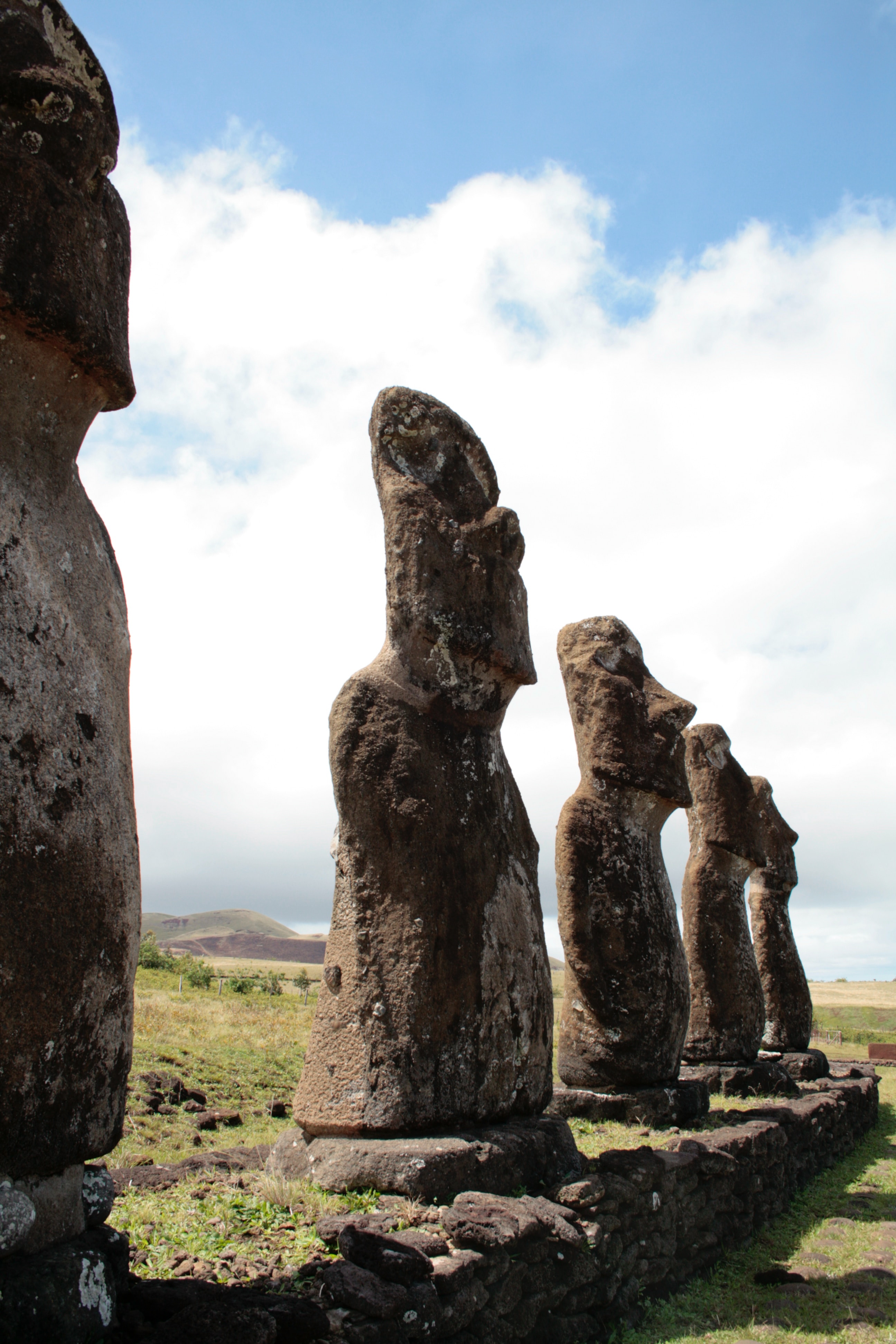 A row of statues on Easter Island. They are large limbless torsos with elongated heads.