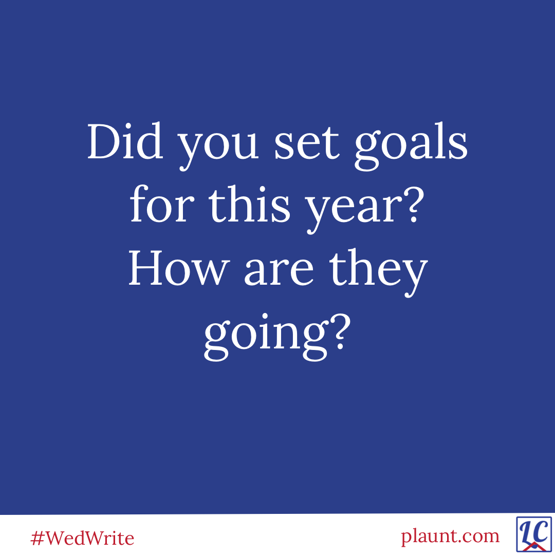 Did you set goals for this year? How are they going?