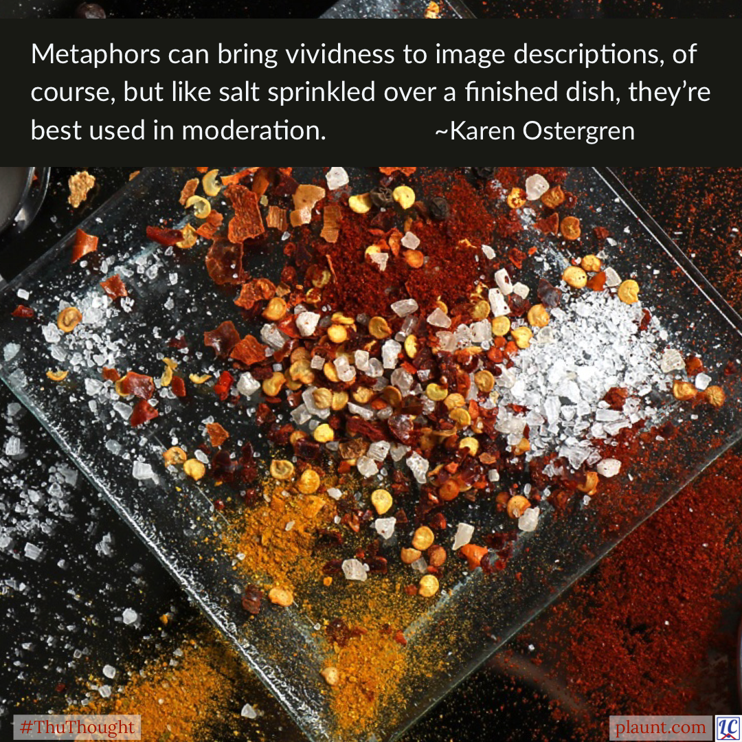 A plate filled with various spices including salt. Caption: Metaphors can bring vividness to image descriptions, of course, but like salt sprinkled over a finished dish, they're best used in moderation. ~Karen Ostergren
