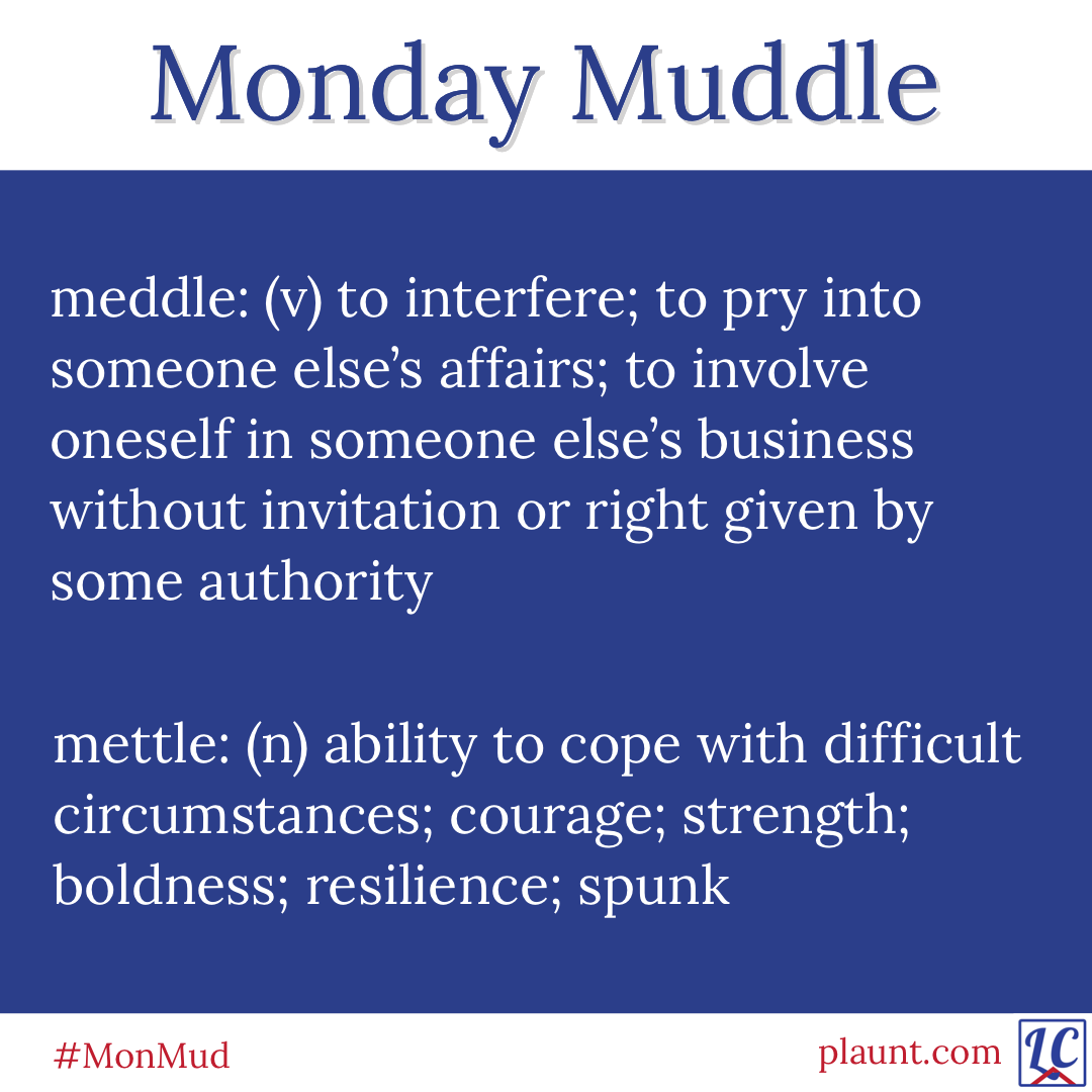 Monday Muddle: meddle: (v) to interfere; to pry into someone else's affairs; to involve oneself in someone else's business without invitation or right given by some authority mettle: (n) ability to cope with difficult circumstances; courage; strength; boldness; resilience; spunk