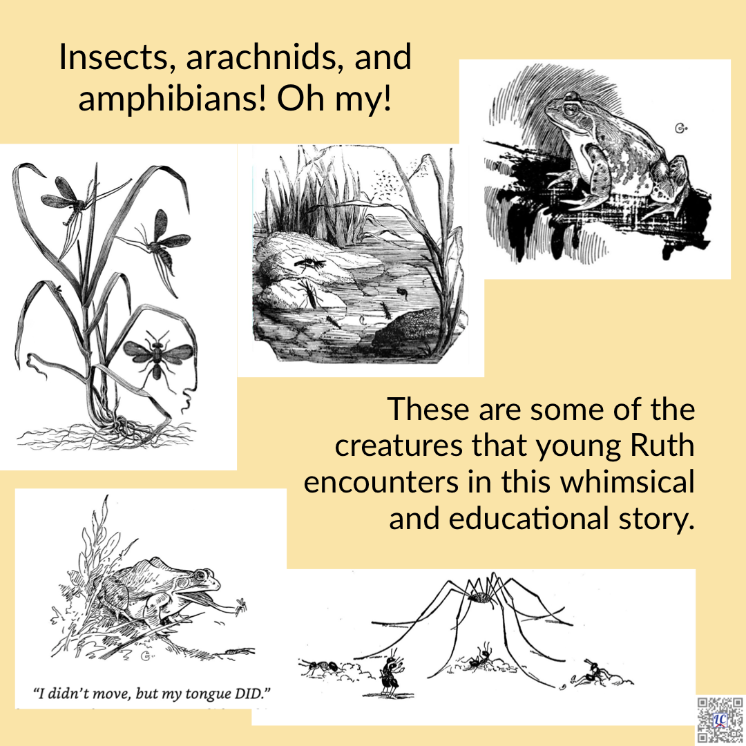 Black and white illustrations of insects, spiders, and frogs. Caption: Insects, arachnids, and amphibians! Oh my! These are some of the creatures that hung Ruth encounters in this whimsical and educational story.