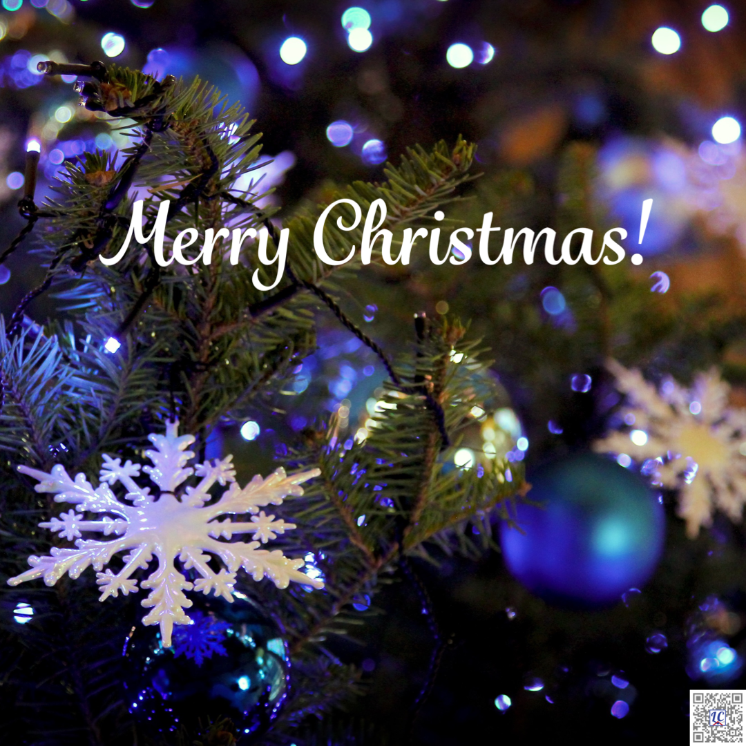 A small section of a Christmas tree decorated with blue and white lights and ornaments. Caption: Merry Christmas!